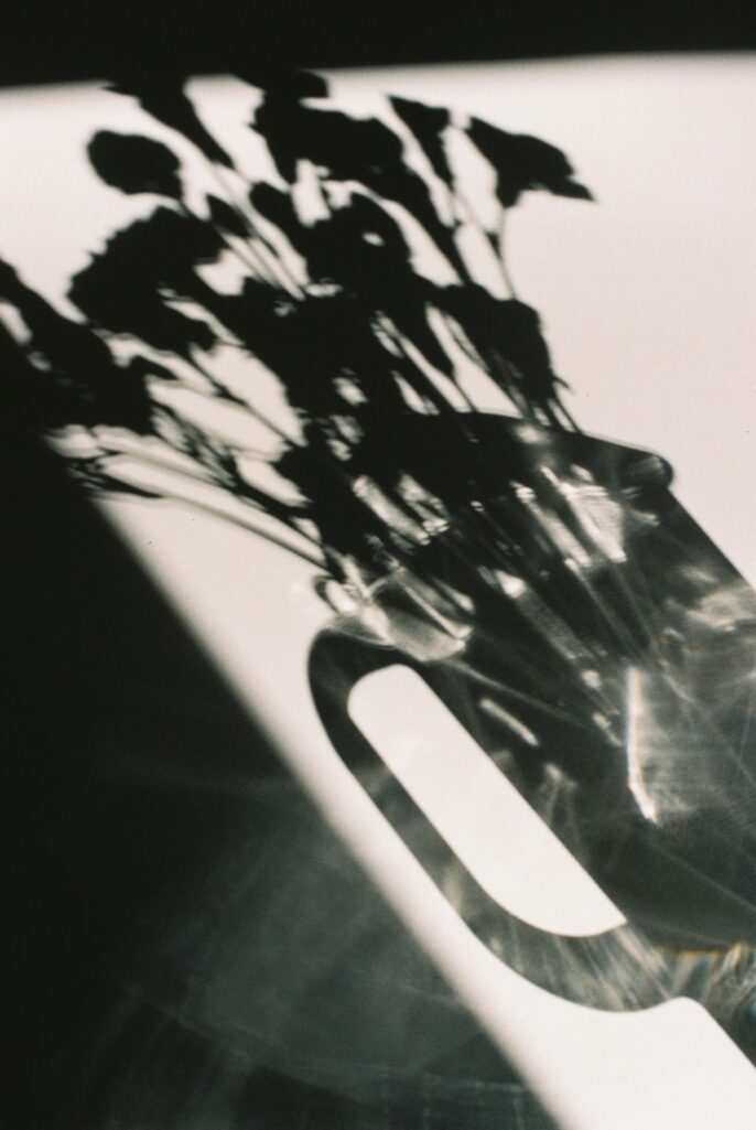 Ombre portée d’un bouquet de fleurs dans un vase en verre – photographie artistique en lumière naturelle par Stéphanie Lorang