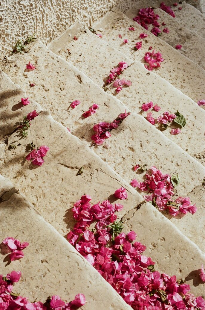 Escalier en pierre beige parsemé de pétales de bougainvillier, photographié par Stéphanie Lorang à Lyon