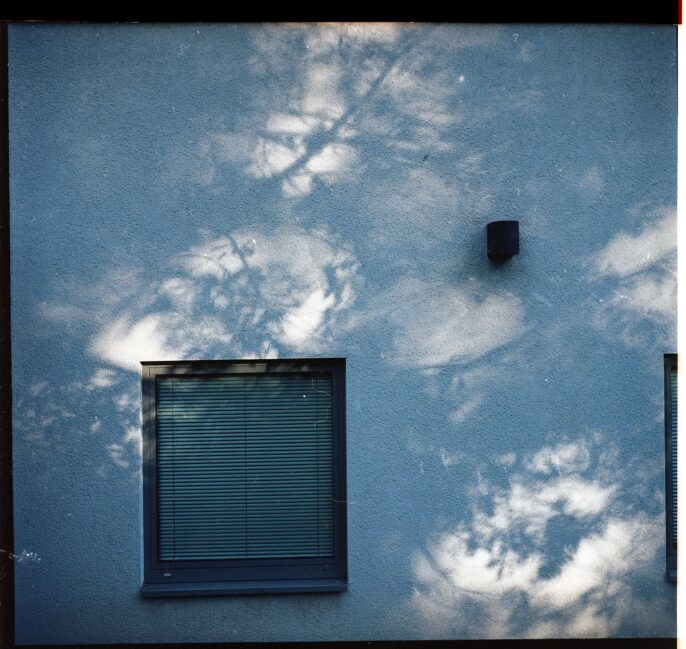 Jeu d’ombres de feuillage sur une façade bleue avec fenêtre fermée à stores vénitiens