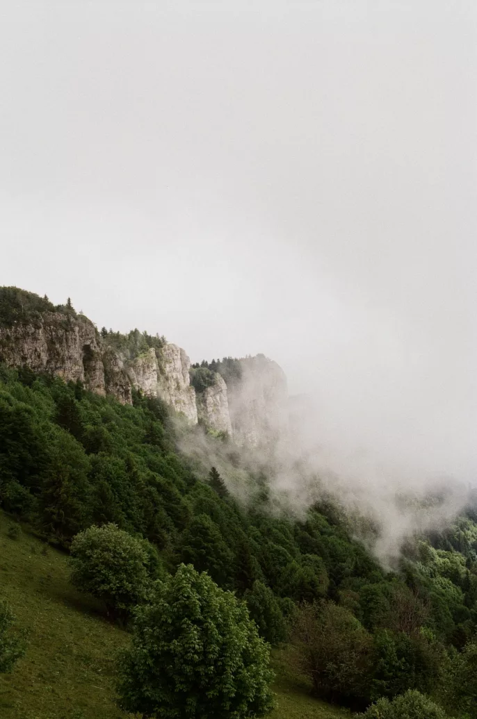 Paysage de montagne brumeuse dans la région Rhône-Alpes, forêt dense et falaises sous la brume.
