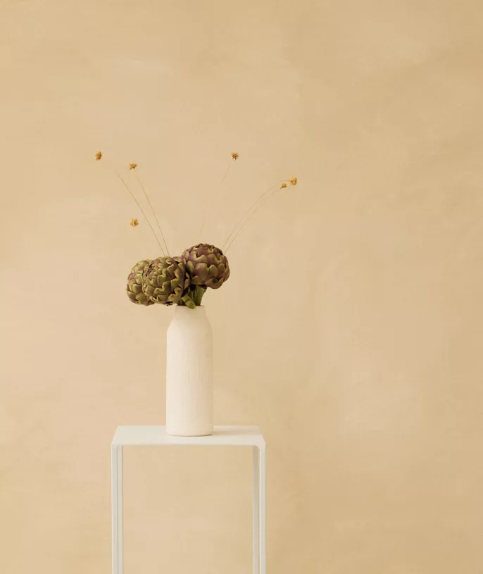 Photographe mode à Lyon – nature morte artistique avec artichauts en studio