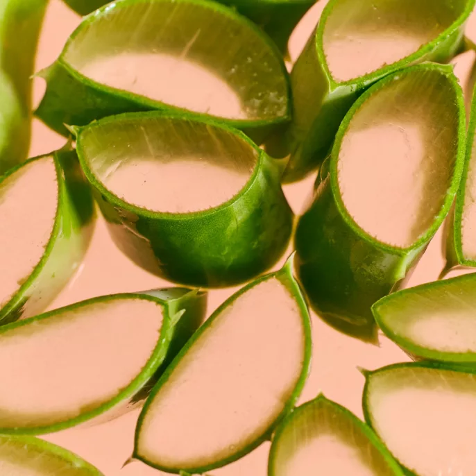 Tronçons d'aloe vera en gros plan sur fond rose — shooting cosmétique Lyon, Stéphanie Lorang