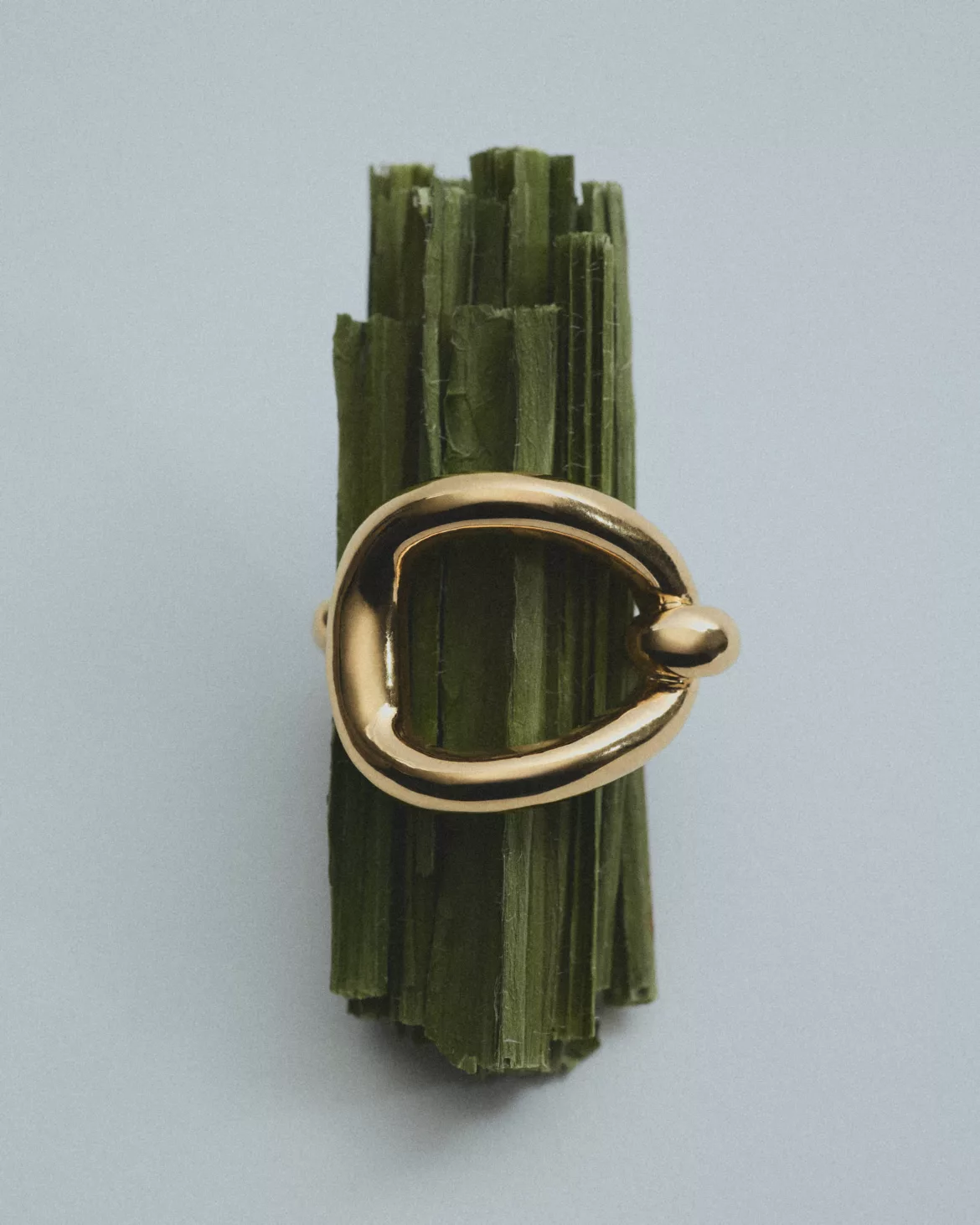 Bague dorée organique posée sur fagot de tiges vertes séchées — photographie bijoux nature morte Lyon, Stéphanie Lorang